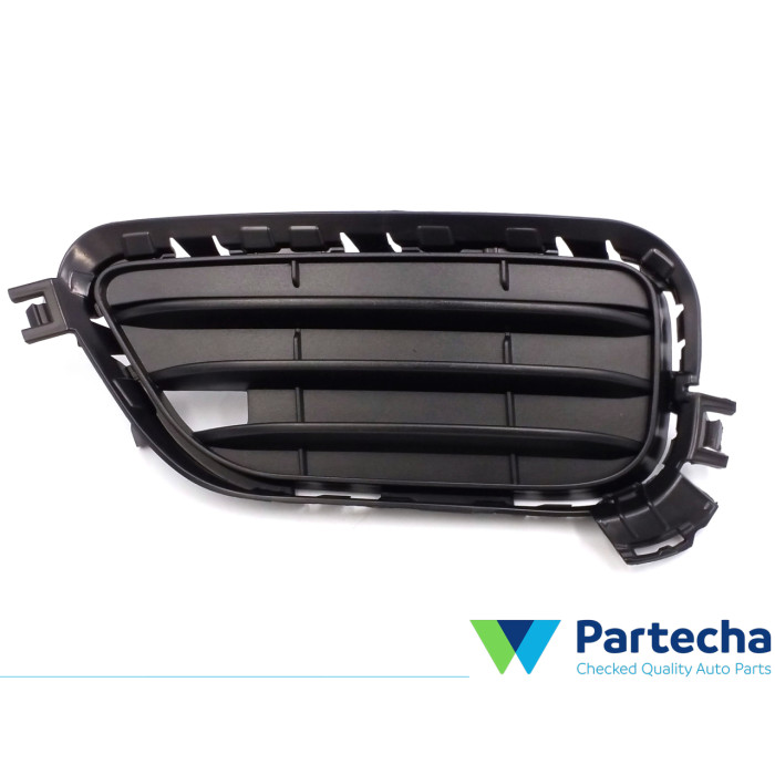 BMW X3 (F25) Stoßstangengitter (51117338513)