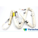 Dachairbags