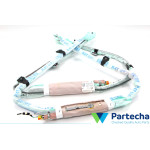 Dachairbags