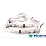 Dachairbags