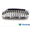 BMW X5 (F15, F85) Kühlergrill (51137203649)